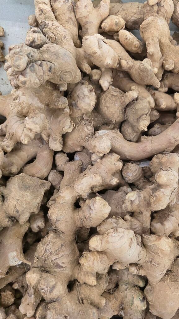 Jahe Gajah 200gram